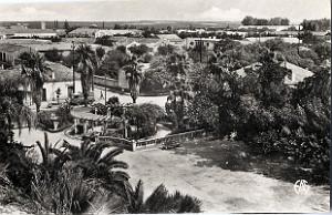 Hammam bou hadjar 515- Parc des vieux bains COLLECTION DES AMIS DE ND DE SANTA CRUZ